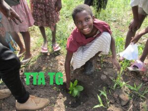 scolaire et environnement