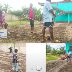 Les enfants et jeunes visiteurs du centre Mateng s’initient à l’agriculture écologique avec Togo Ta Alafia.