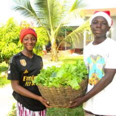 Noël avec les enfants au Centre Mateng, une fête avec les trésors du potager.